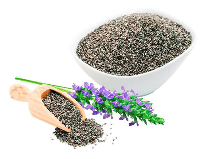 Chia Seeds