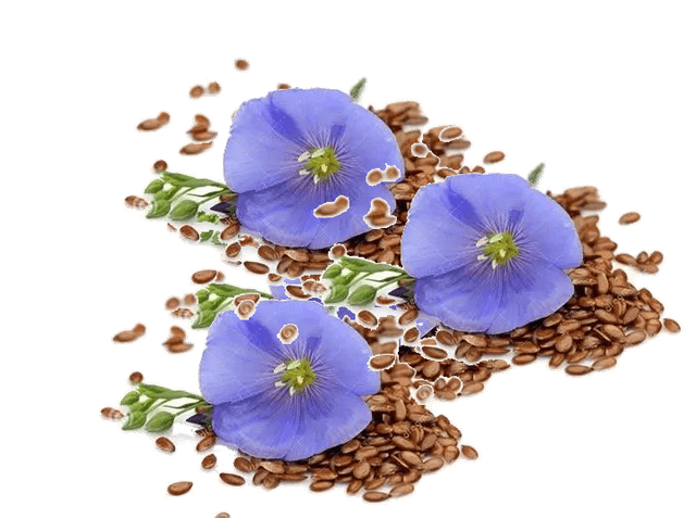 Flaxseeds