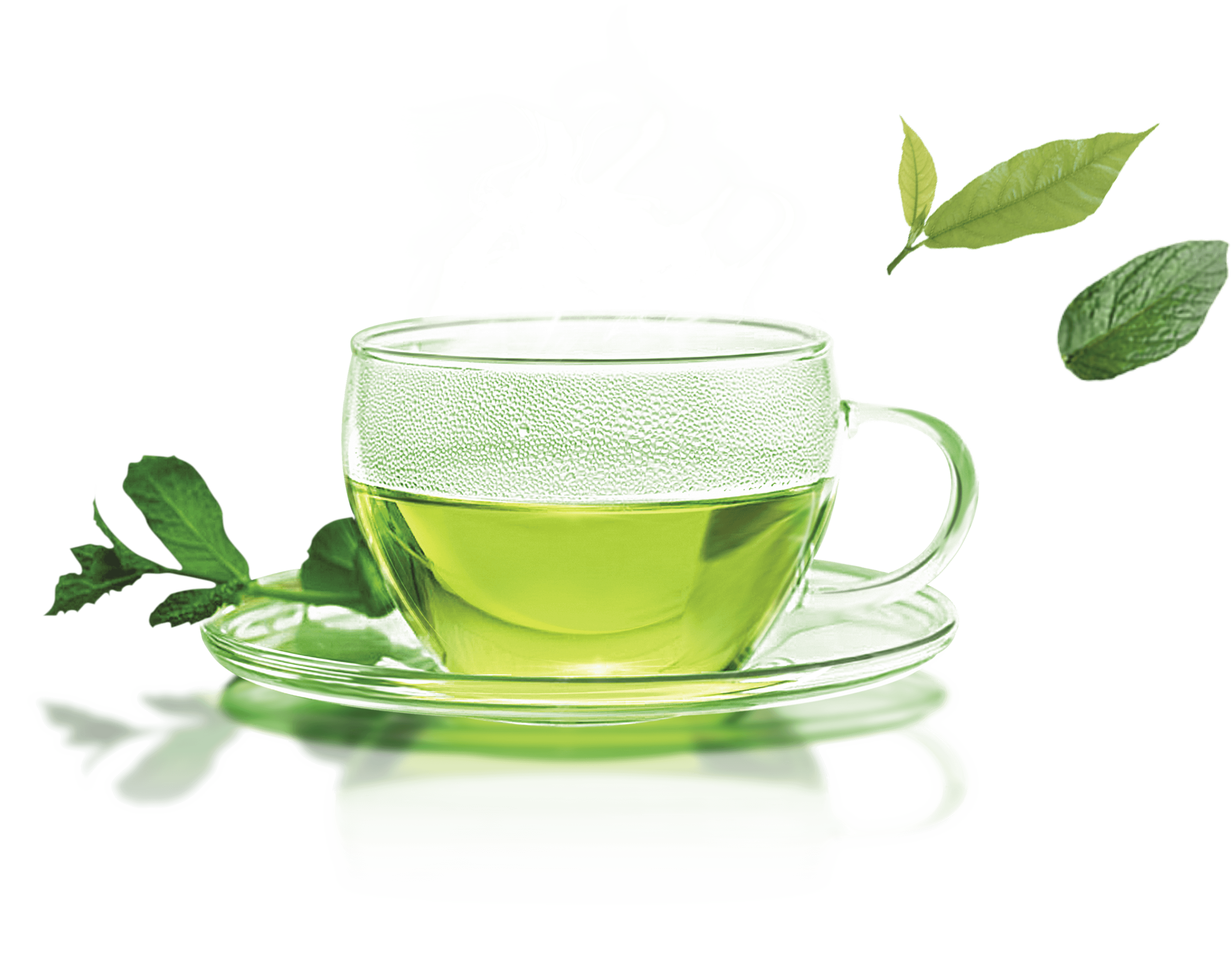 Matcha Green Tea
