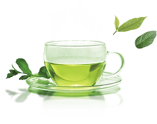 Matcha Green Tea